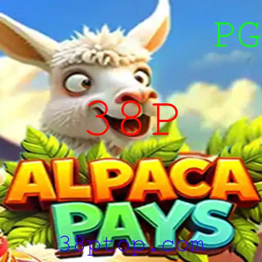 AlpacaPays: Exploração e Regras do Jogo de Aventura